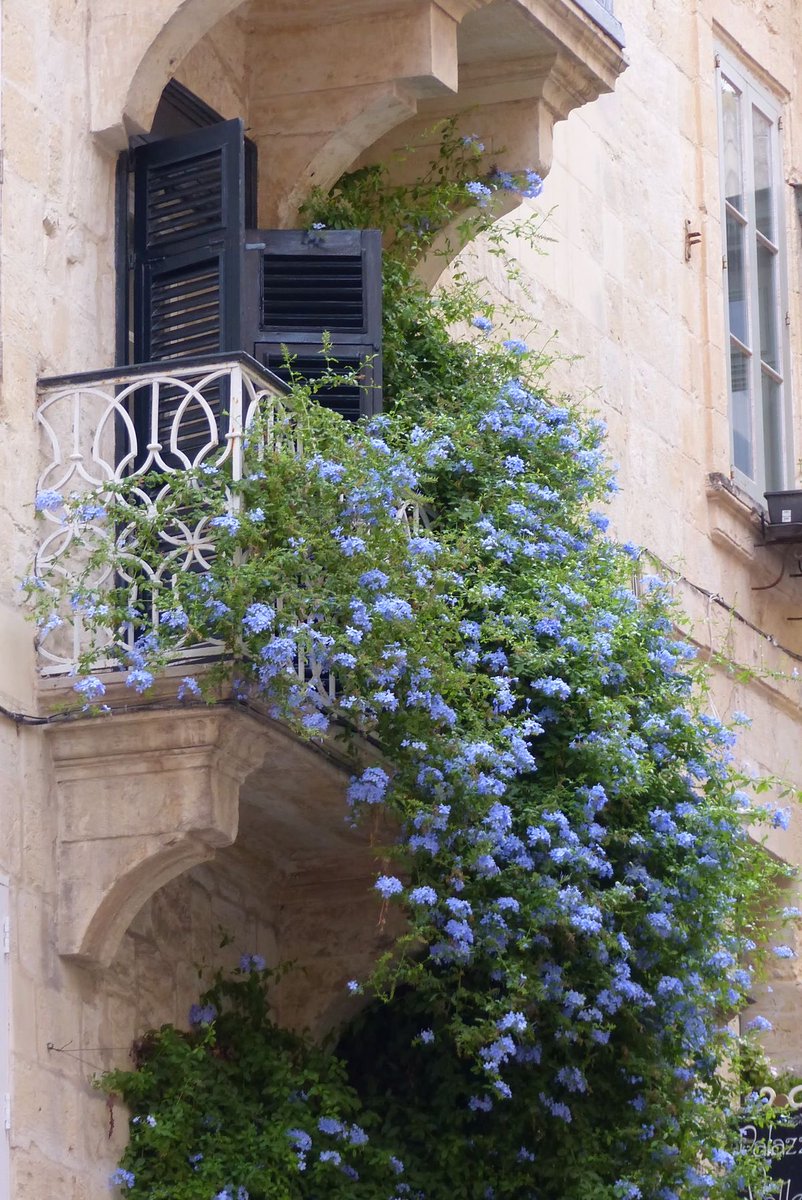 inreuo's tweet image. 