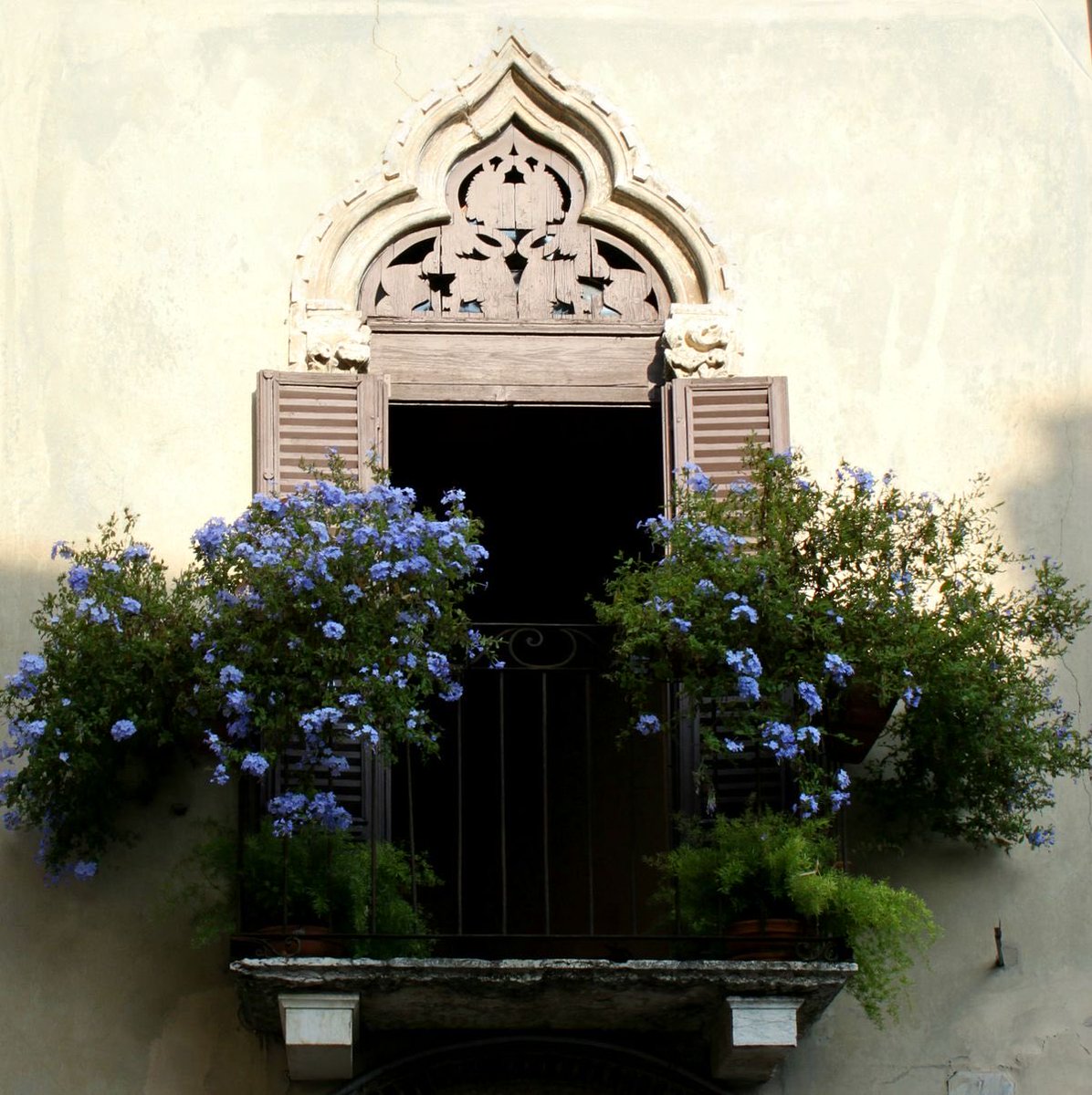 inreuo's tweet image. 