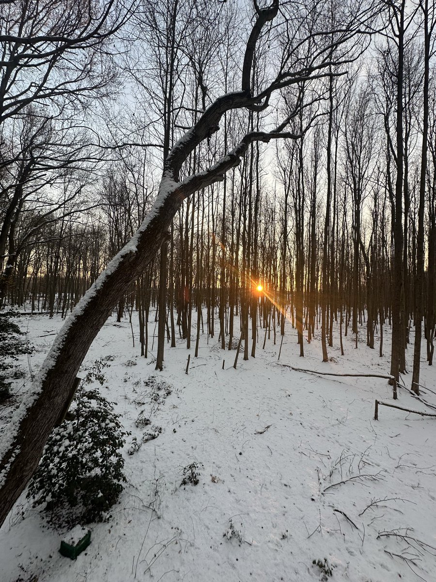 abominablebeard's tweet image. Good morning!