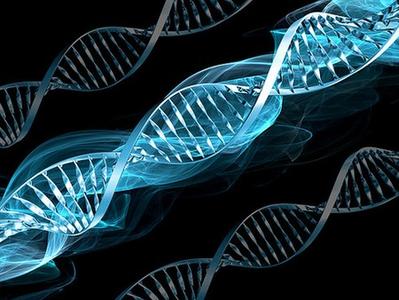 RadioMariaITA's tweet image. H. 18:00

#Temi di #bioetica 
Tema: "Betlemme qui e ora" 
Marilisa Castellano