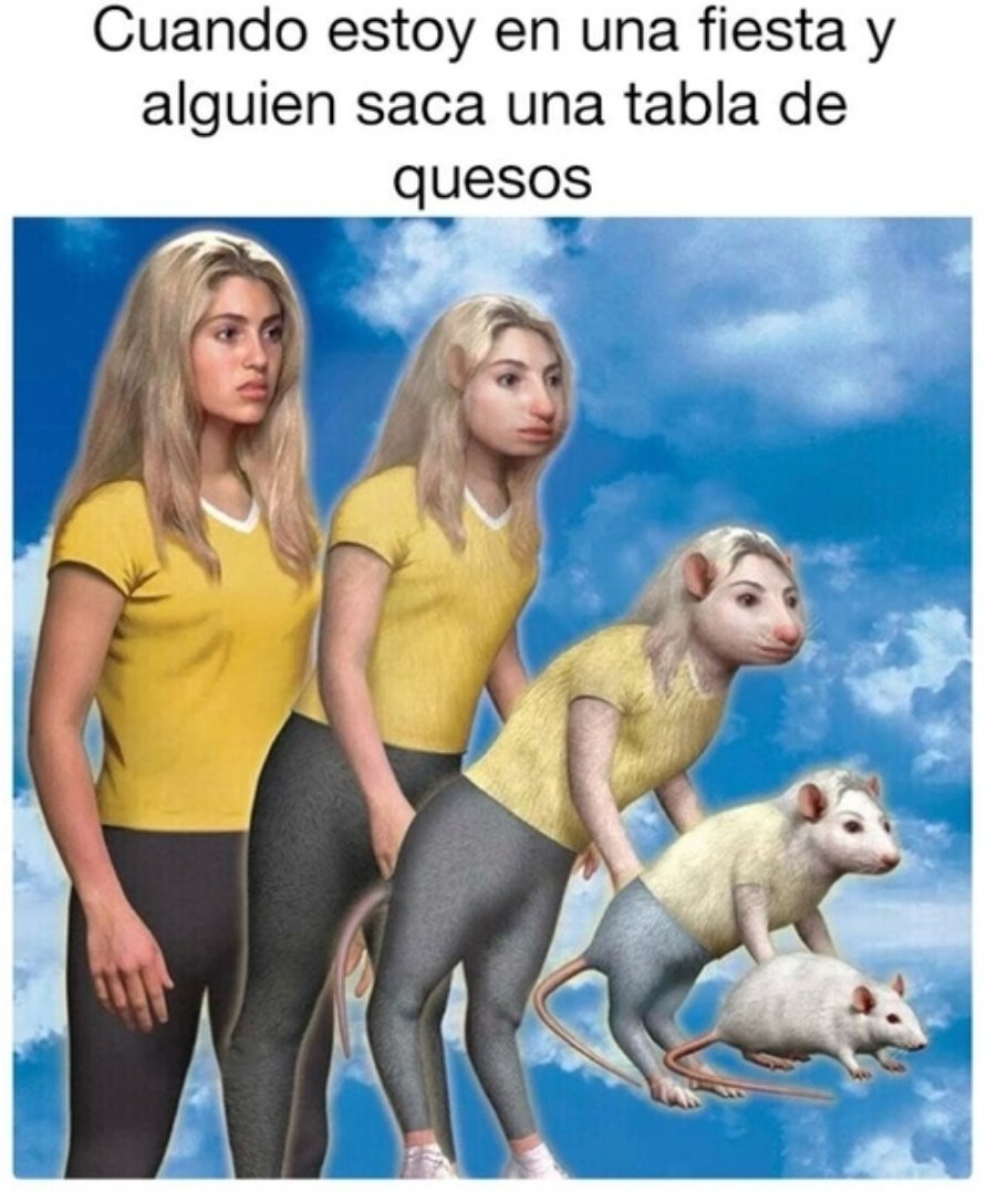ardillakoalaoki's tweet image. Ahí es cuando aparece la rata que llevo en mí 🐁🧀