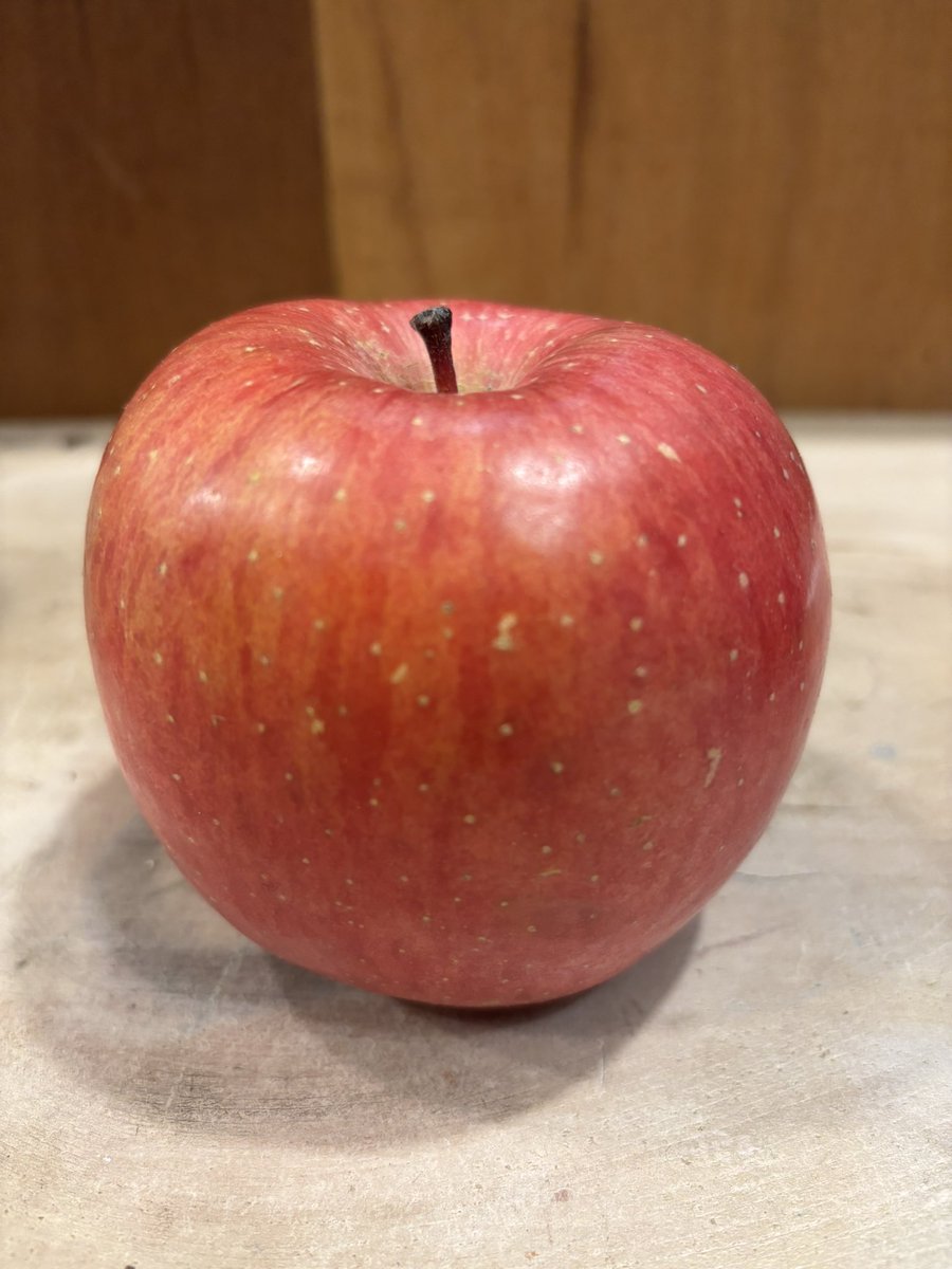 MAICALL's tweet photo. チェロ弾きあーちゃんから頂いた秋田のおリンゴ🍎美しい。
そこはかとなくツヤがあーちゃんの天使の輪とリンク

どちらも最高です♡ https://t.co/UixIqZys8W