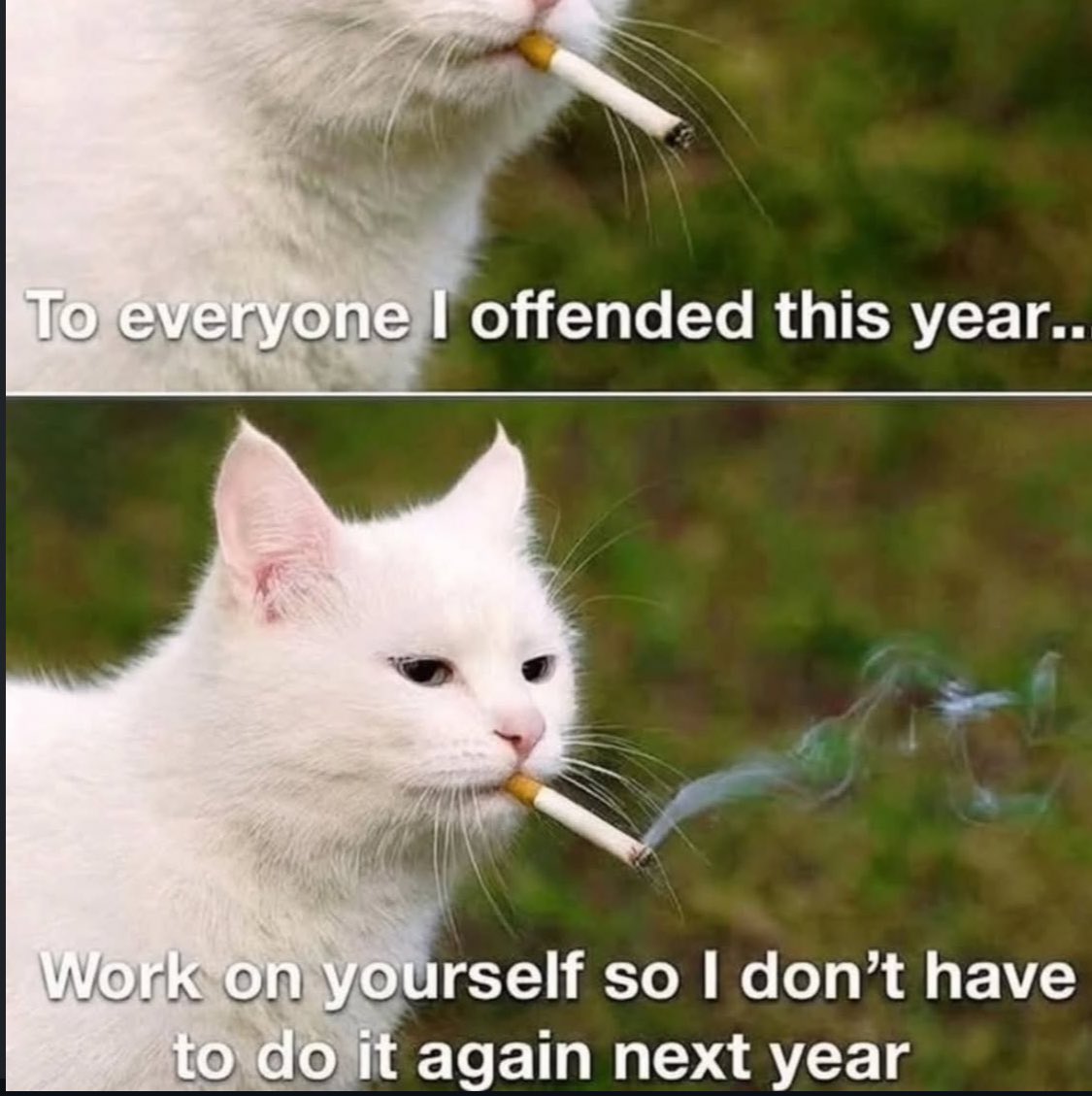 desgraça lovecraftiana tweet media