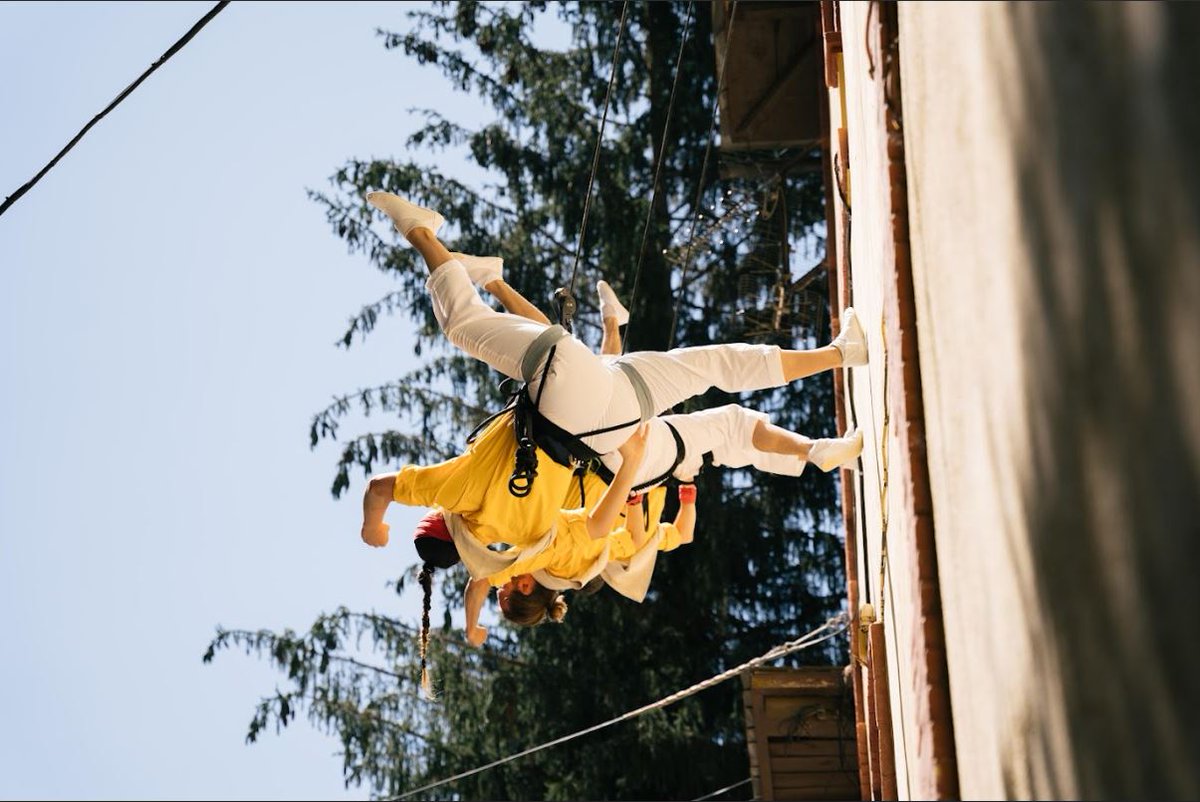 Dansàneu tweet media