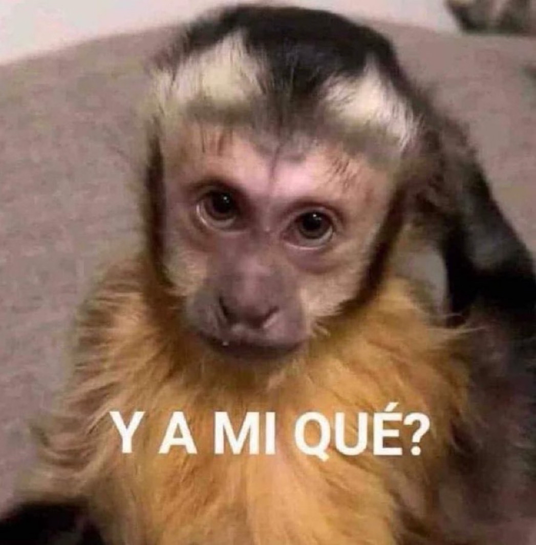 Guarromantico_'s tweet photo. Cuando me empiezan a contar algo y estoy de mal humor: https://t.co/7jmXKtJ1Vl
