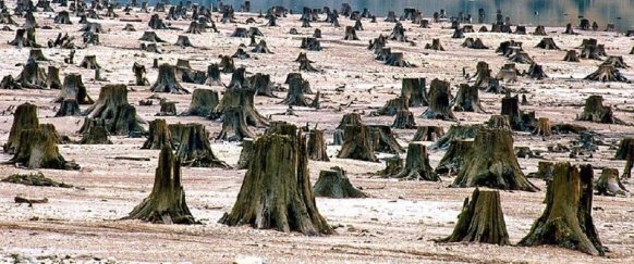 شـــ͢ـﯠق tweet media