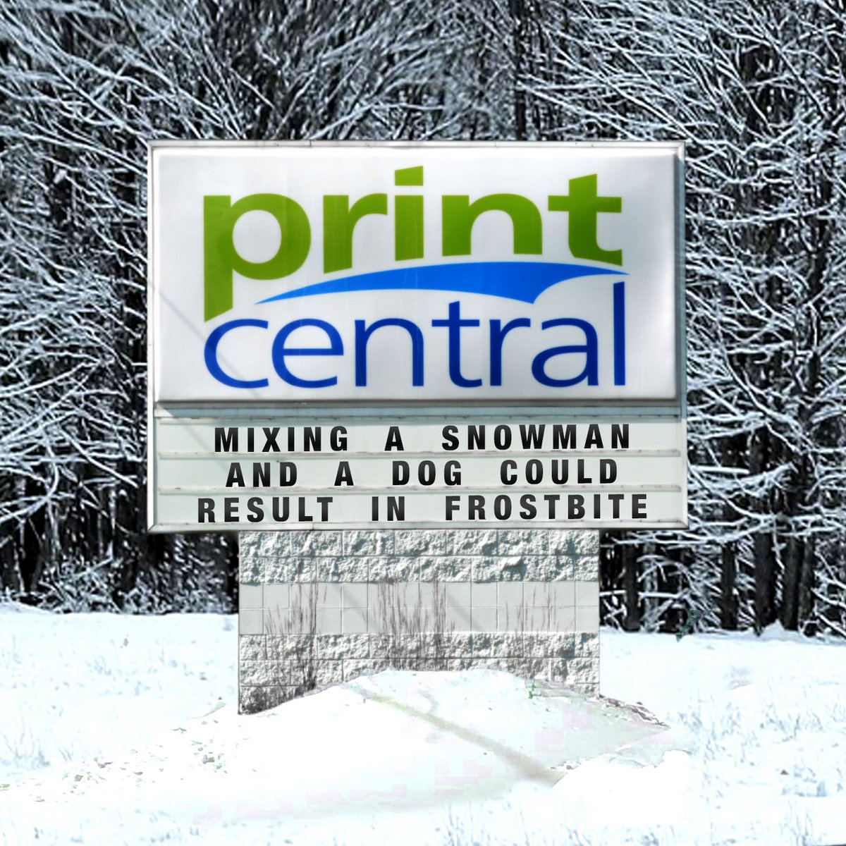 PrintCentralMN's tweet image. "Mixing a snowman and a dog could result in frostbite."
#funnysigns #puns