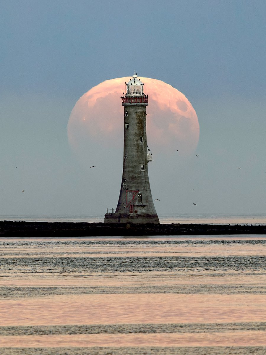 “A stunning moonrise behind Haulbowline Lighthouse on Carlingford Lough - a special moment to capture on the 200th anniversary of this lighthouse.”
📷 Canon R6 | 600mm | ƒ/6.3 | 1/125s | ISO 200
👉 Photo by Ann Bruen.
📍 Planned with PhotoPills: photopills.com