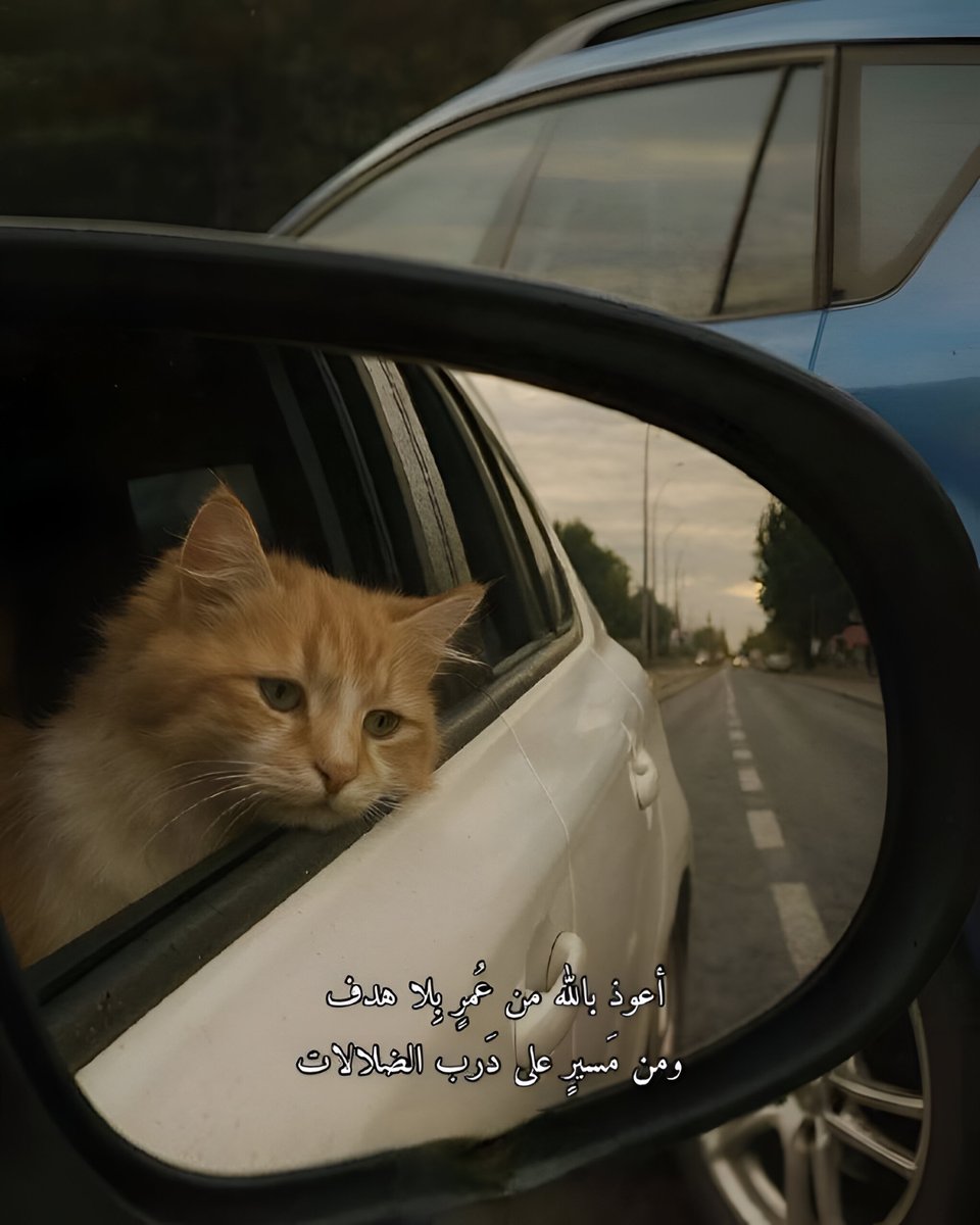 تفاصيل شرقي (@osloccc) on Twitter photo 