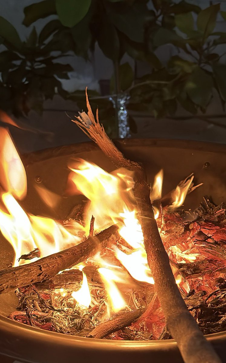 xstop_'s tweet image. والله الجفا برد وقل الوفا برد، والموعد المهجور ما ينبت الورد 🎶