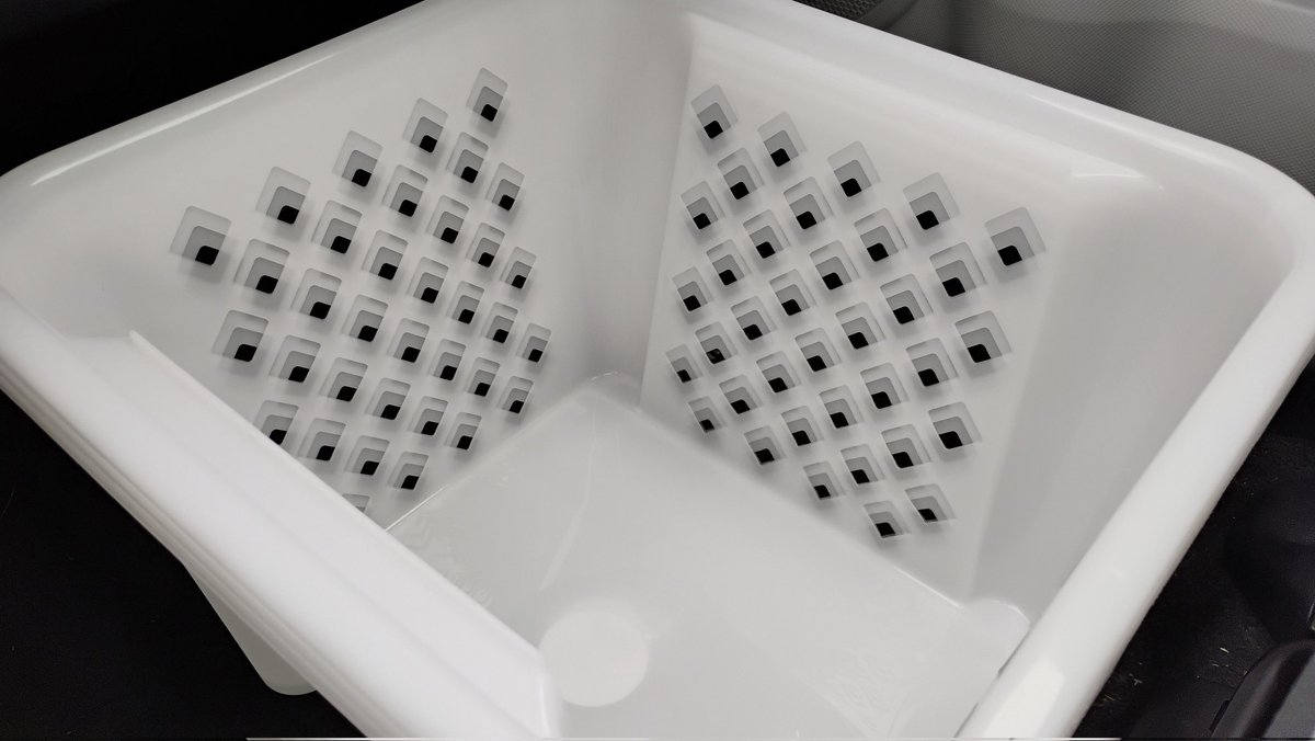 Jared P Bostic tweet media