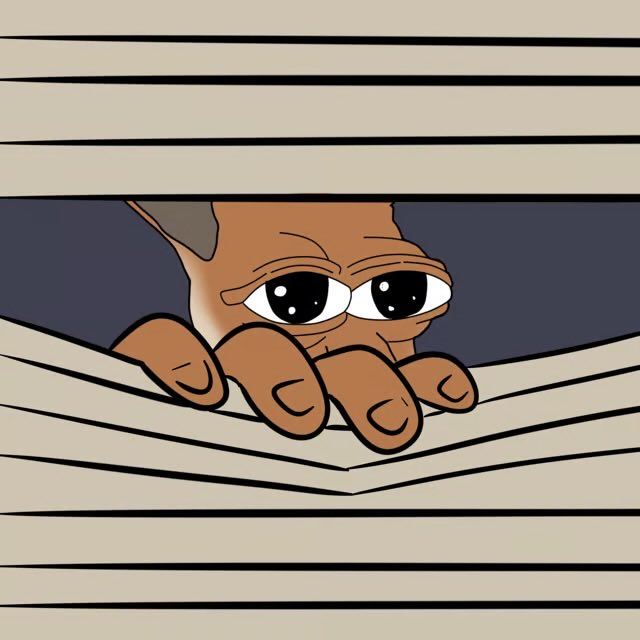 gRURU except those it's not night for