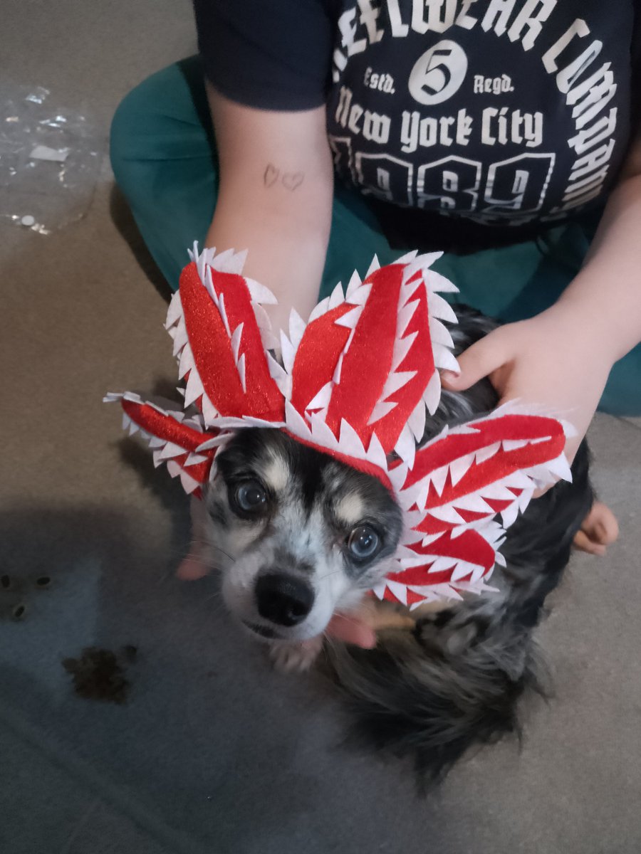 <a href="/MatthewModine/">Matthew Modine</a> #Papa ..like my #demodog ??