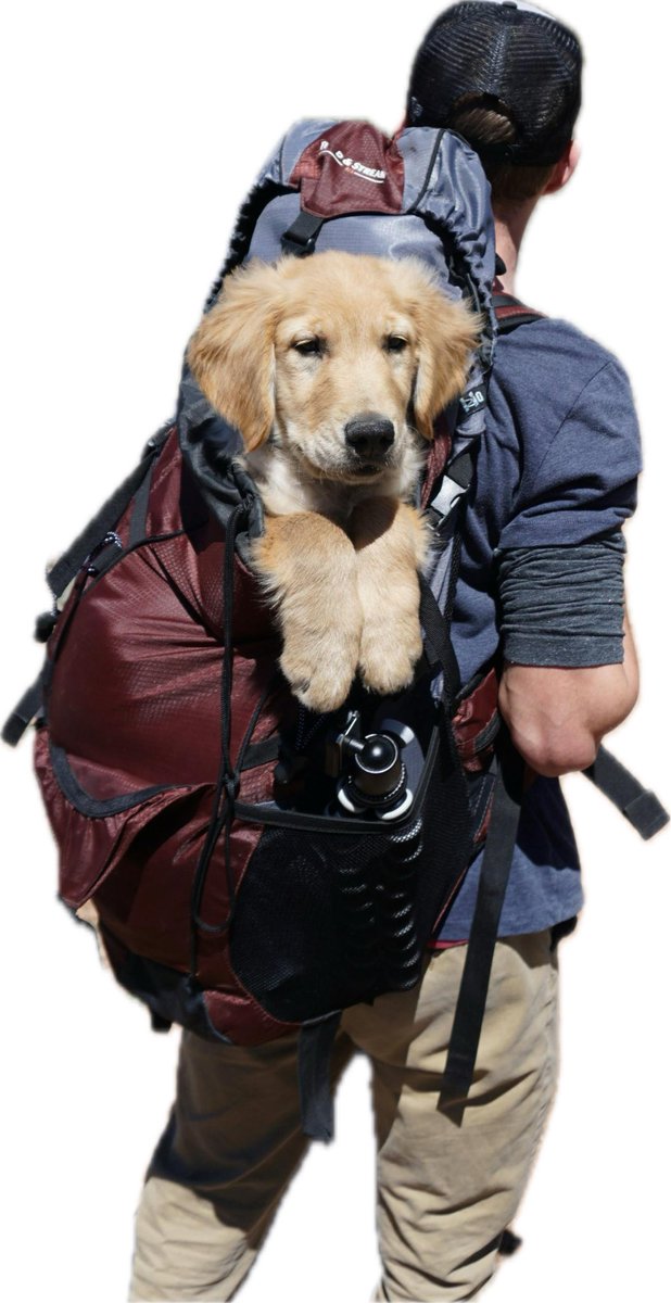 POV:me with Bari sax.