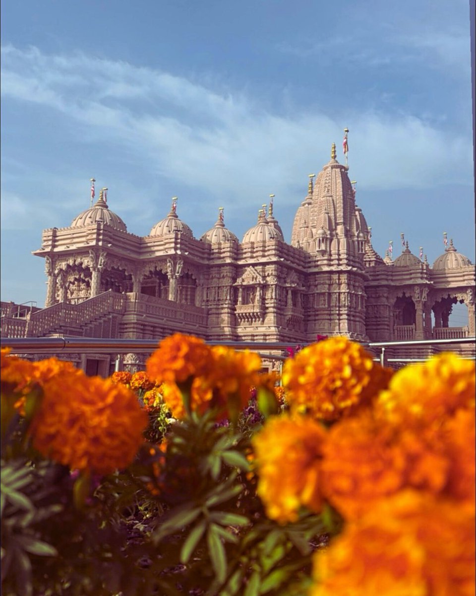 bapslosangeles's tweet photo. Petals lift their prayers to the sky,
and stone remembers the hands that carved devotion into form.
Here, color blooms before quiet grandeur—
a gentle reminder that faith, like flowers,
rises best in patience, light, and love. 🌼🕊️

#MandirMoods #DiscoverLA #BAPSLosAngeles https://t.co/qt0n1wb4Um