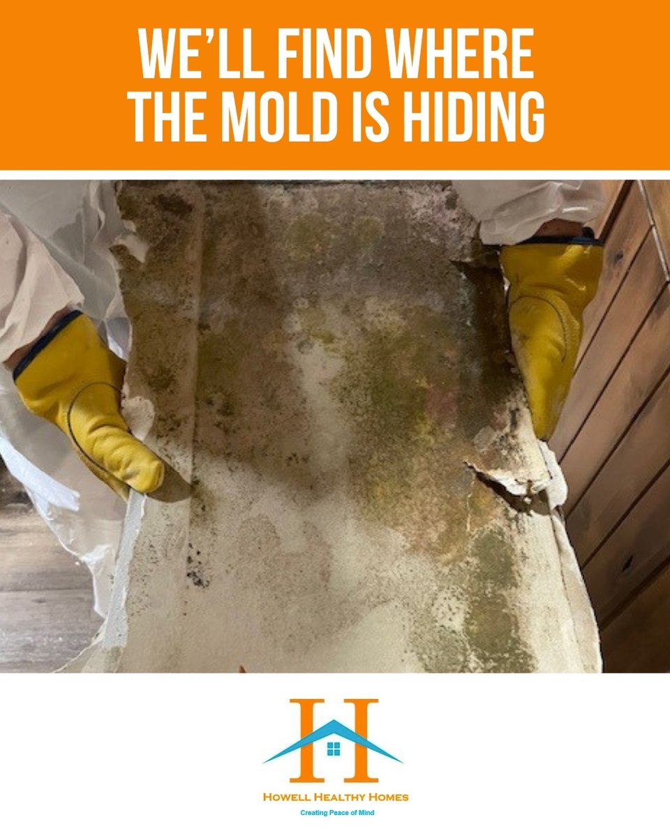 HowellRadon's tweet image. Mold testing isn’t just about confirming whether mold exists in your space; it can identify what type of mold is present and how serious the contamination is. Our team will give you clear data and a plan for next steps. ow.ly/hP7p50XG3xq
