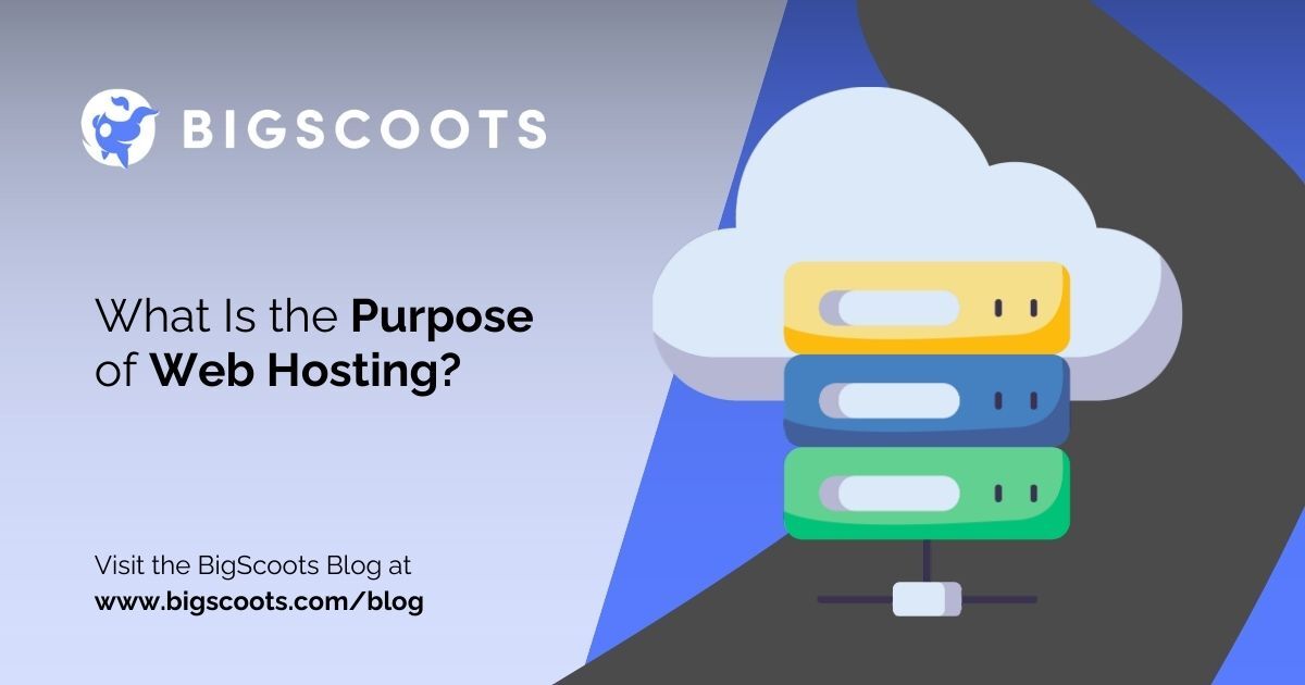 BigScoots Web Hosting tweet media