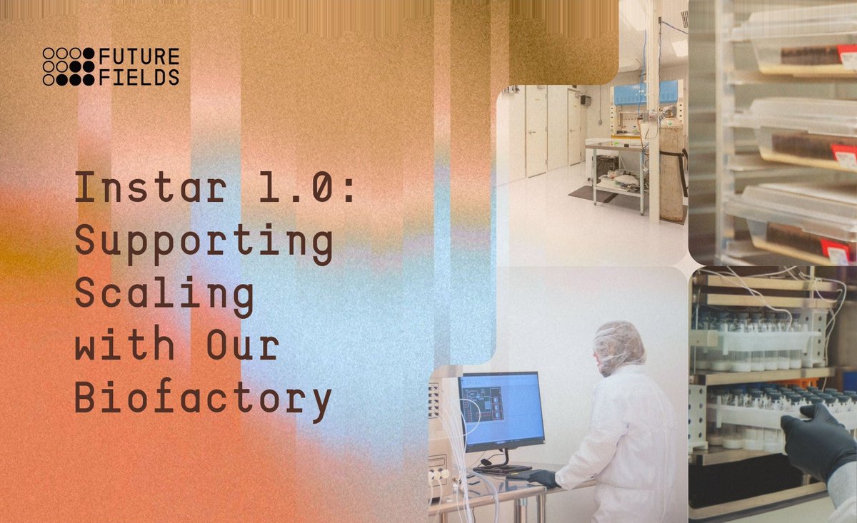 Future Fields tweet media