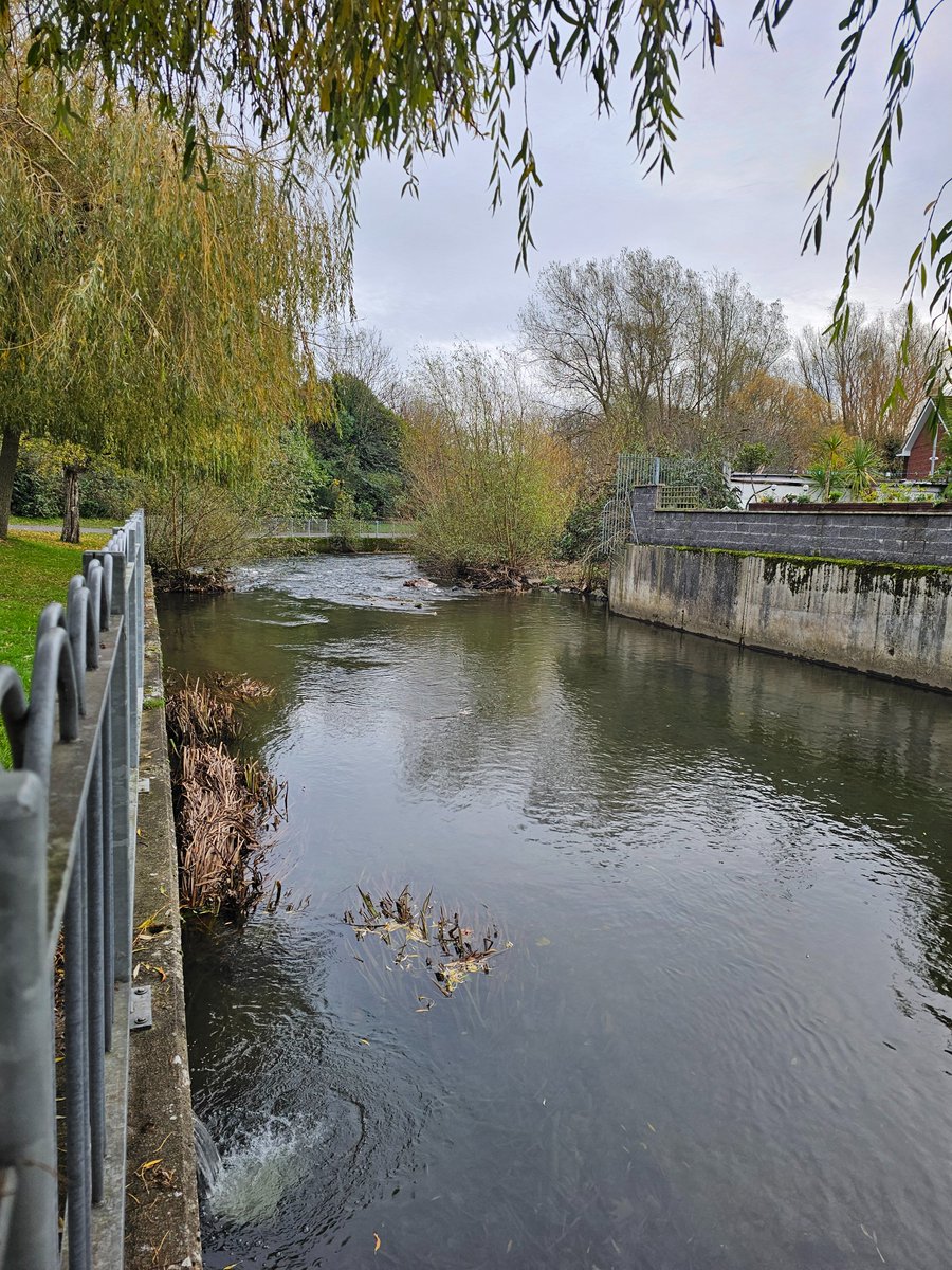 DCU Water Institute tweet media