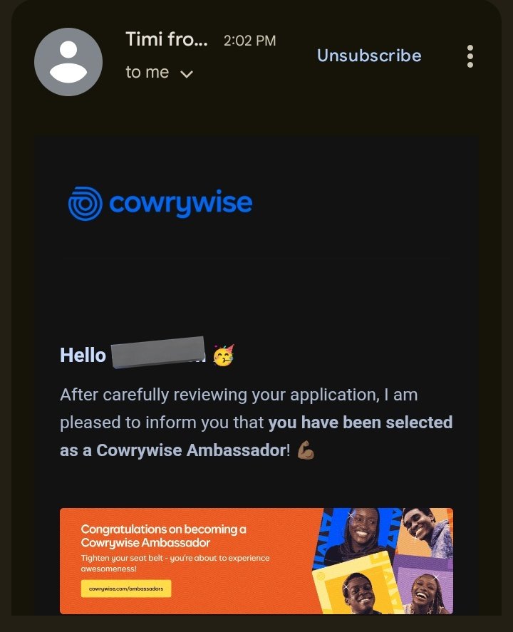 And a pretty Email came in....

Thank You <a href="/cowrywise/">Cowrywise</a> 😊