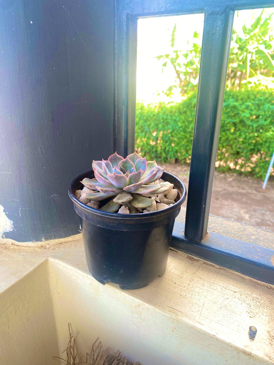 Aaaw she made me a dad of two 😍❤️