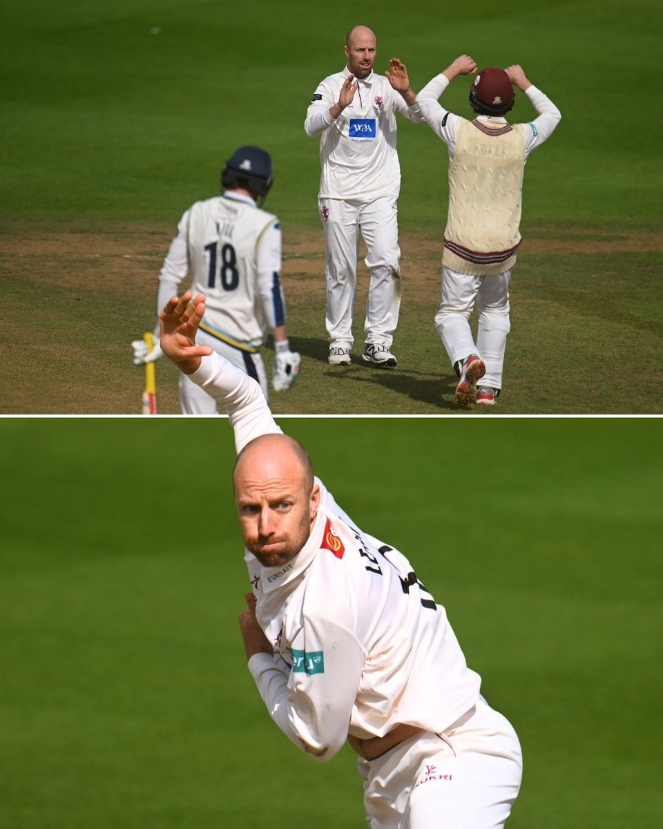 Somerset Cricket 🏆 tweet media
