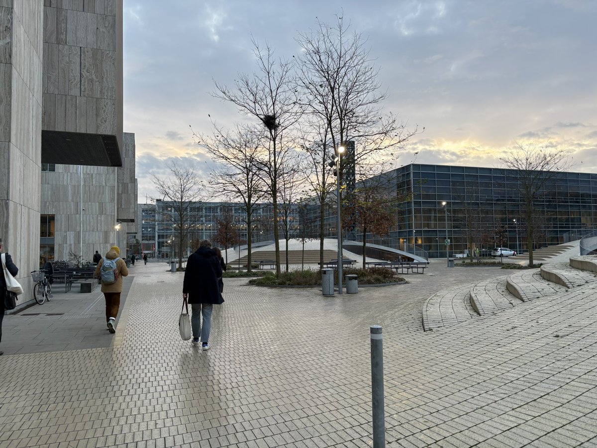 Peter Huggler tweet media