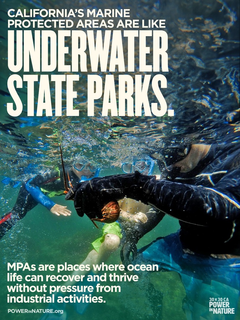 Power in Nature tweet media