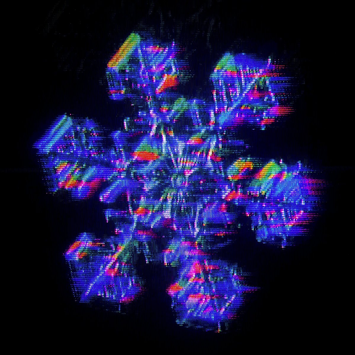 📺⚡️cameron16tv tweet media