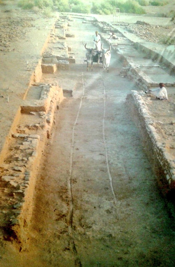 IndiaHistorypic's tweet image. 4500 Years Old Street of Harappan Era City of Dholavira In Gujarat
