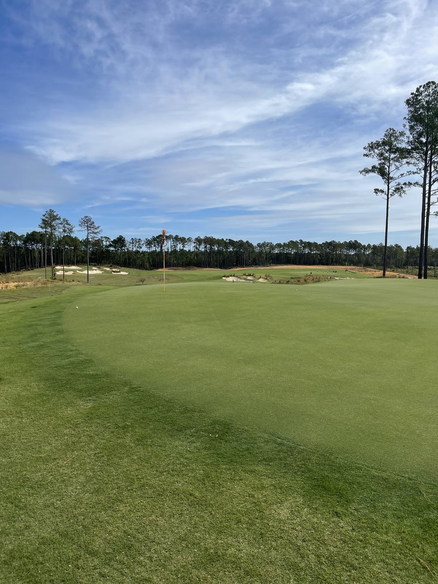 golf guy tweet media
