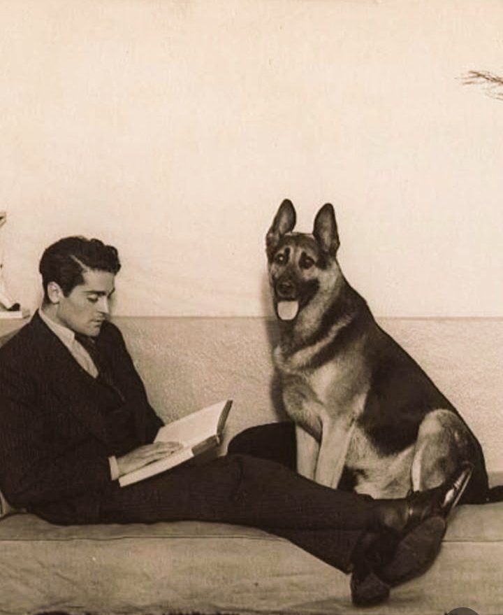 Atardecer_90's tweet image. "El hombre, cuanto más estudia 
     es más sencillo, porque a 
  medida que estudia descubre
   la grandeza de su ignorancia".

            ~ Aristóteles.