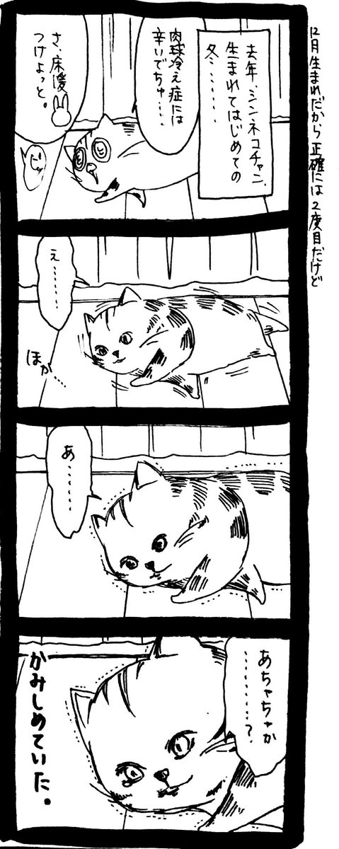 ぽんた❤︎評価夕方以降になります！ページ　いつもありがとうございます♡ ポンタ_C107.12/31水.東7_C42b賜われました(∩´∀｀)∩ﾜｰｲ