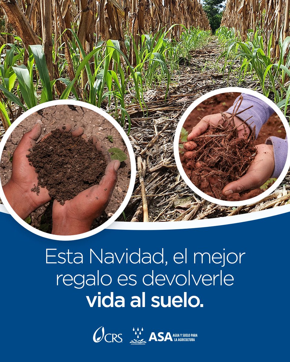 🎁🌱 Esta Navidad, el mejor regalo es devolverle vida al suelo.

De la tierra nace nuestro alimento, nuestro trabajo y nuestro futuro.

🌱 Cuidar la tierra es cuidar la vida.

#SembrandoFuturo #CuidarLaTierra #NavidadConPropósito