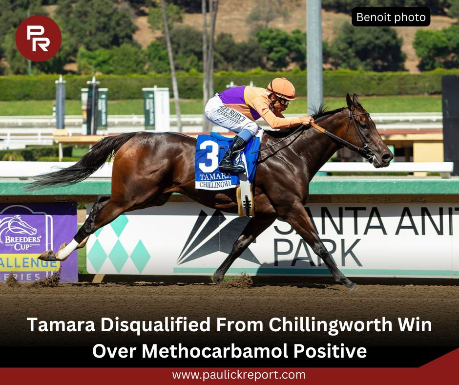 paulickreport's tweet photo. Trainer Richard Mandella accepted full responsibility for the medication overage. He said the filly was given a three-day course of treatment, which was terminated 11 days before the race. 

Details: https://t.co/tT1En5OW9k https://t.co/84svGLVxdi