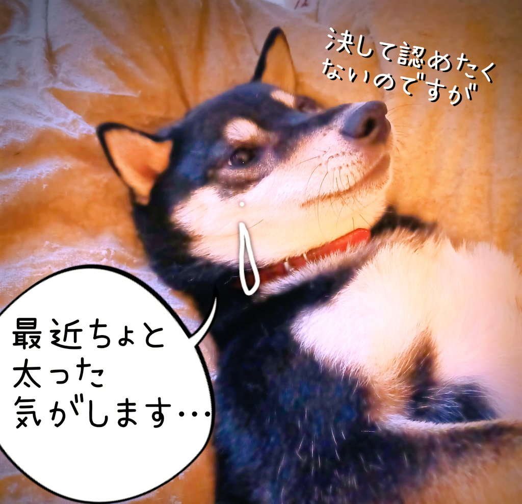 西川尊琉 (@Takeru1988) / Posts / X