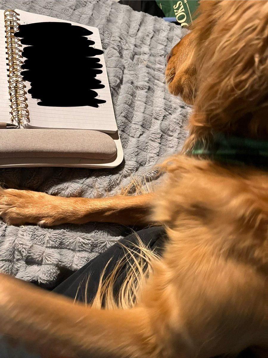 Every time without fail- this is what happens when I decide to write. I hate sitting at a desk (to write) so usually I work on my bed and Arlo- without fail must receive his cuddles. (Also sorry, secret project writing 😉 Can’t show you.)