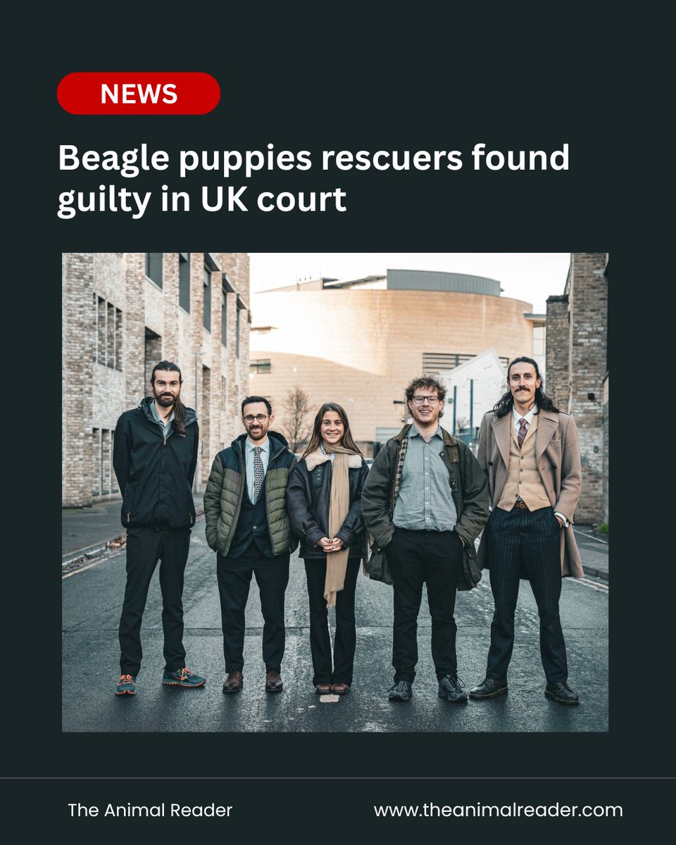 The Animal Reader News tweet media