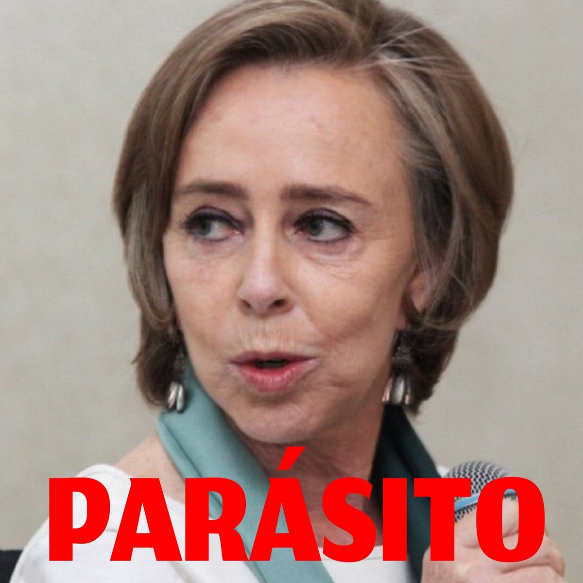 ff_monterrubio's tweet photo. @granbolkonski @amparocasar https://t.co/GRvZe430V9