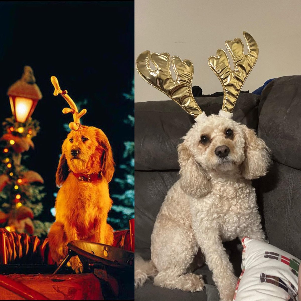 DanWearn tweet media