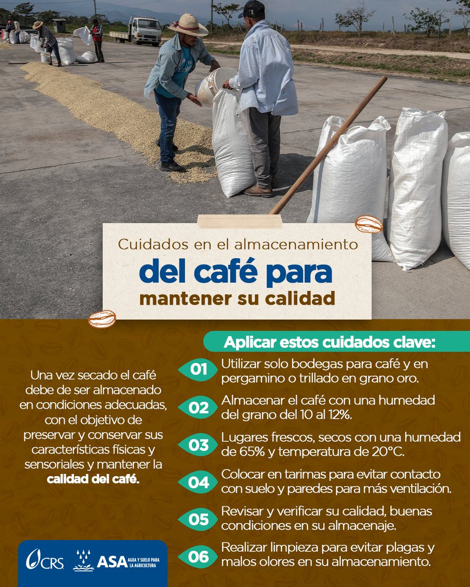 ☕📦 Para que el café conserve su calidad:
Guárdalo en bodega limpia, con 10–12% de humedad, en un lugar fresco y ventilado.
Usa tarimas, sepáralo de paredes y protégelo en bolsas herméticas.
👉 Así cuidas tu café y su precio.
#CaféDeCalidad #BuenasPrácticas #AlmacenamientoDeCafé