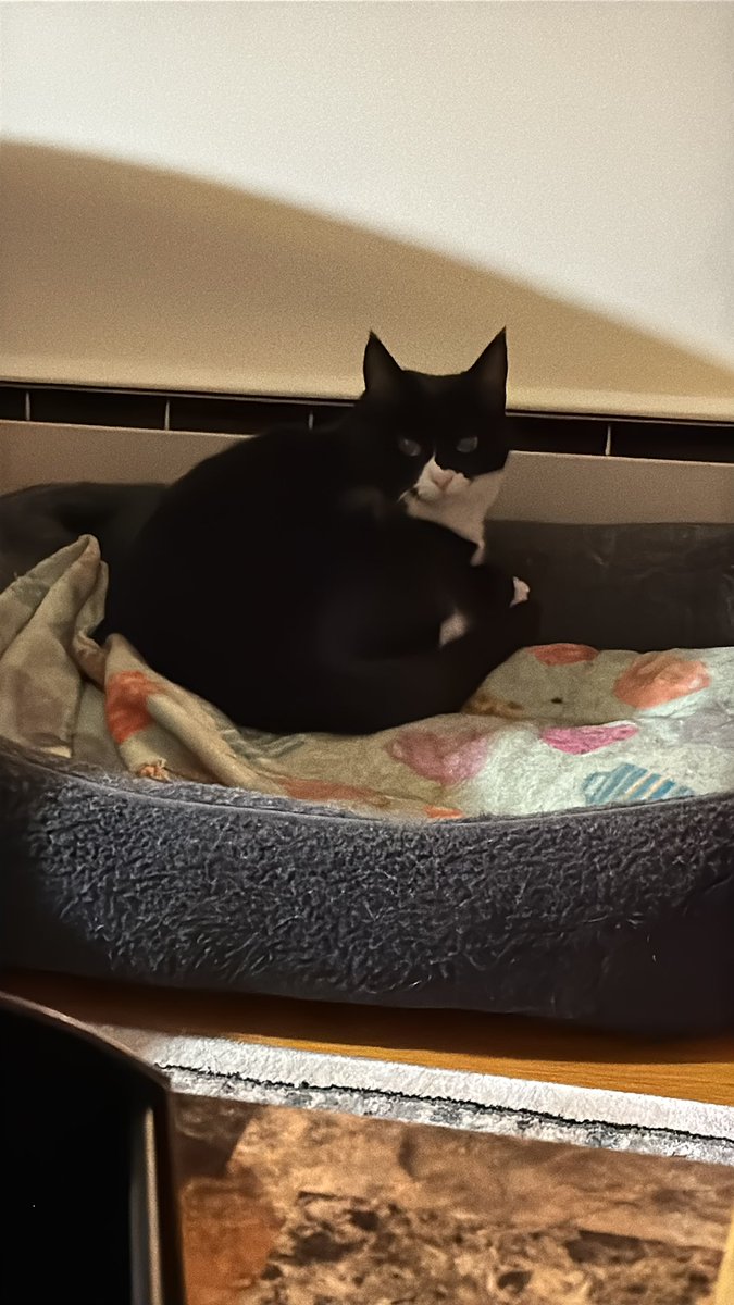 Hugging the heat on a cold night.