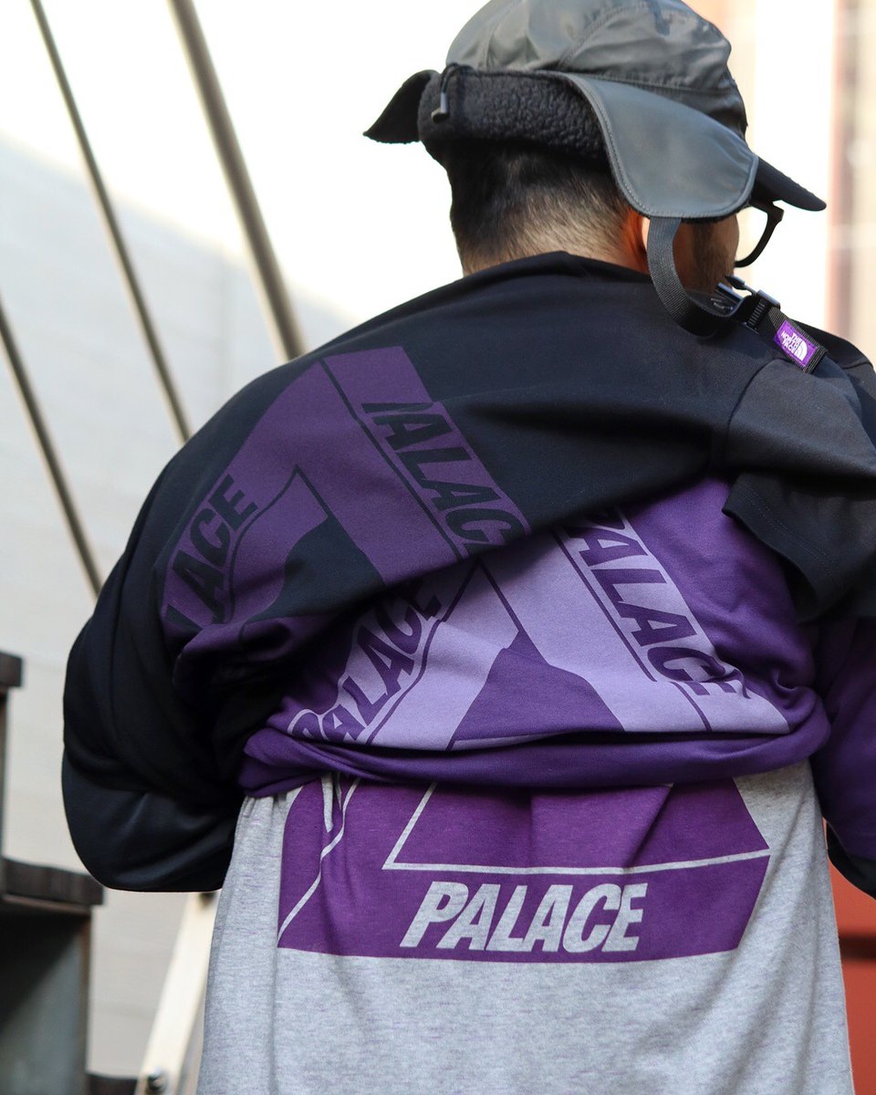 Palace x The North Face Purple Label (2025)