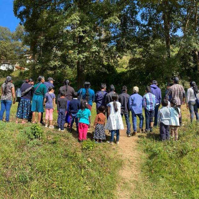 📢 A 4 años de impunidad de las graves violaciones a los derechos humanos hacia familias de la comunidad Nueva Palestina insistimos en que sin la reparación integral del daño y la criminalización de las personas defensoras, no hay justicia ni paz ➡️ frayba.org.mx/251217-4anios-…