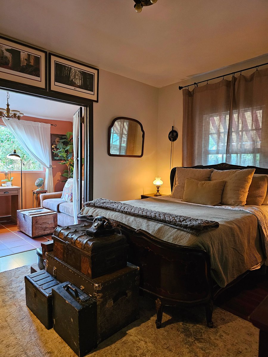 carmenstarrxoxo's tweet image. One of those rare spaces that feels both grounding and cinematic at once.

🌿⚘️