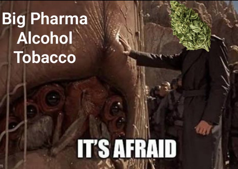 cloud_9_project's tweet image. 