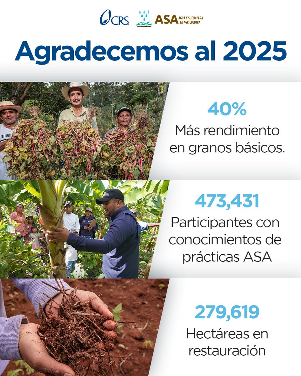 Detrás de cada número hay personas, parcelas y comunidades 🌾
Gracias a productores, productoras, técnicos y aliados que confiaron y caminaron con nosotros.
El 2025 nos recordó que al cuidar la tierra y compartir conocimiento, el impacto crece.💚
#Gracias2025 #SembrandoFuturo