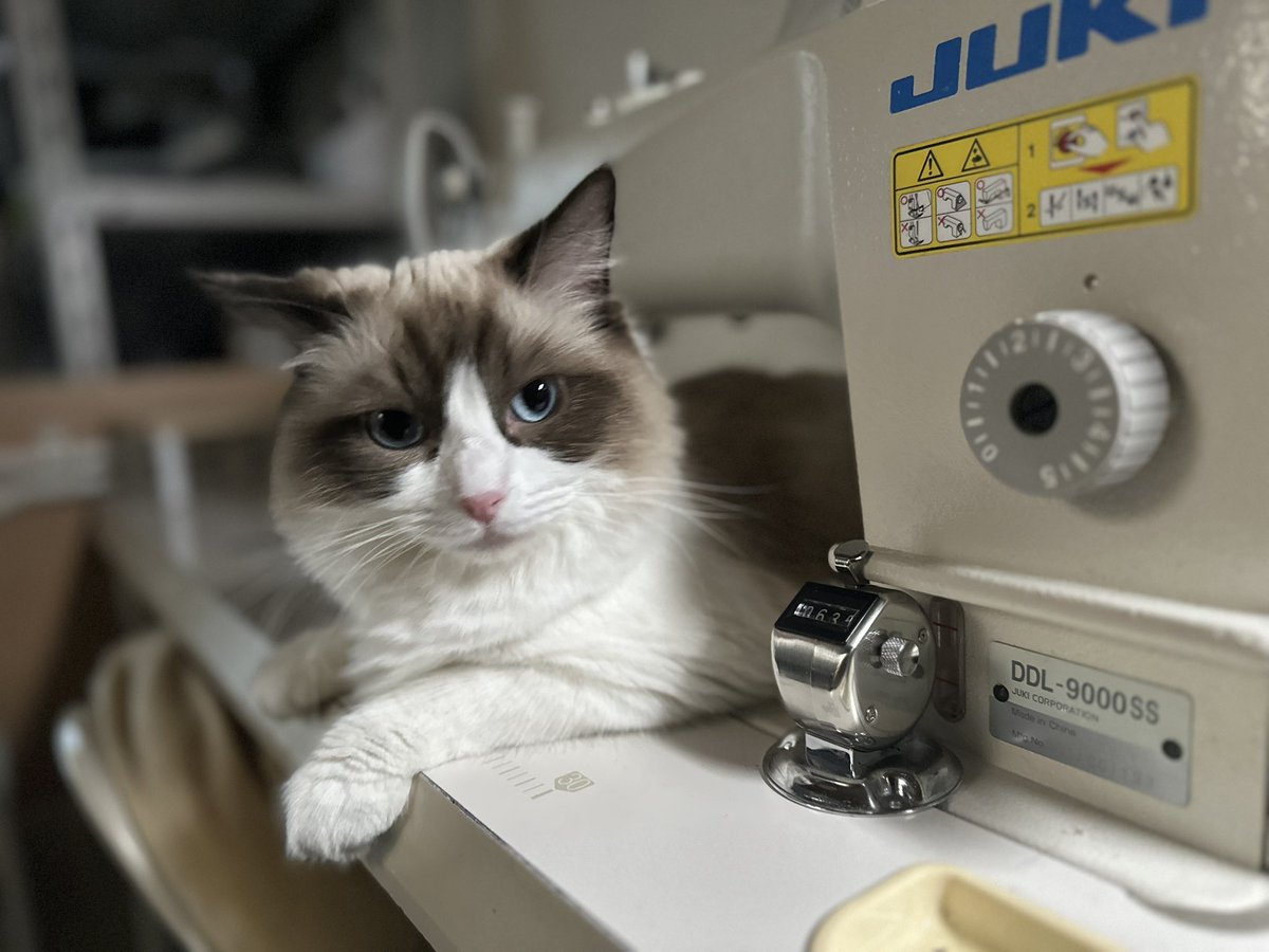 ありがたい忙しさを過ごしていますが
しっかり🍺だけは欠かさず飲んでるので安心してください！！