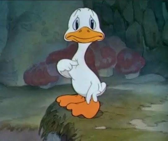 taylia¹ tweet media