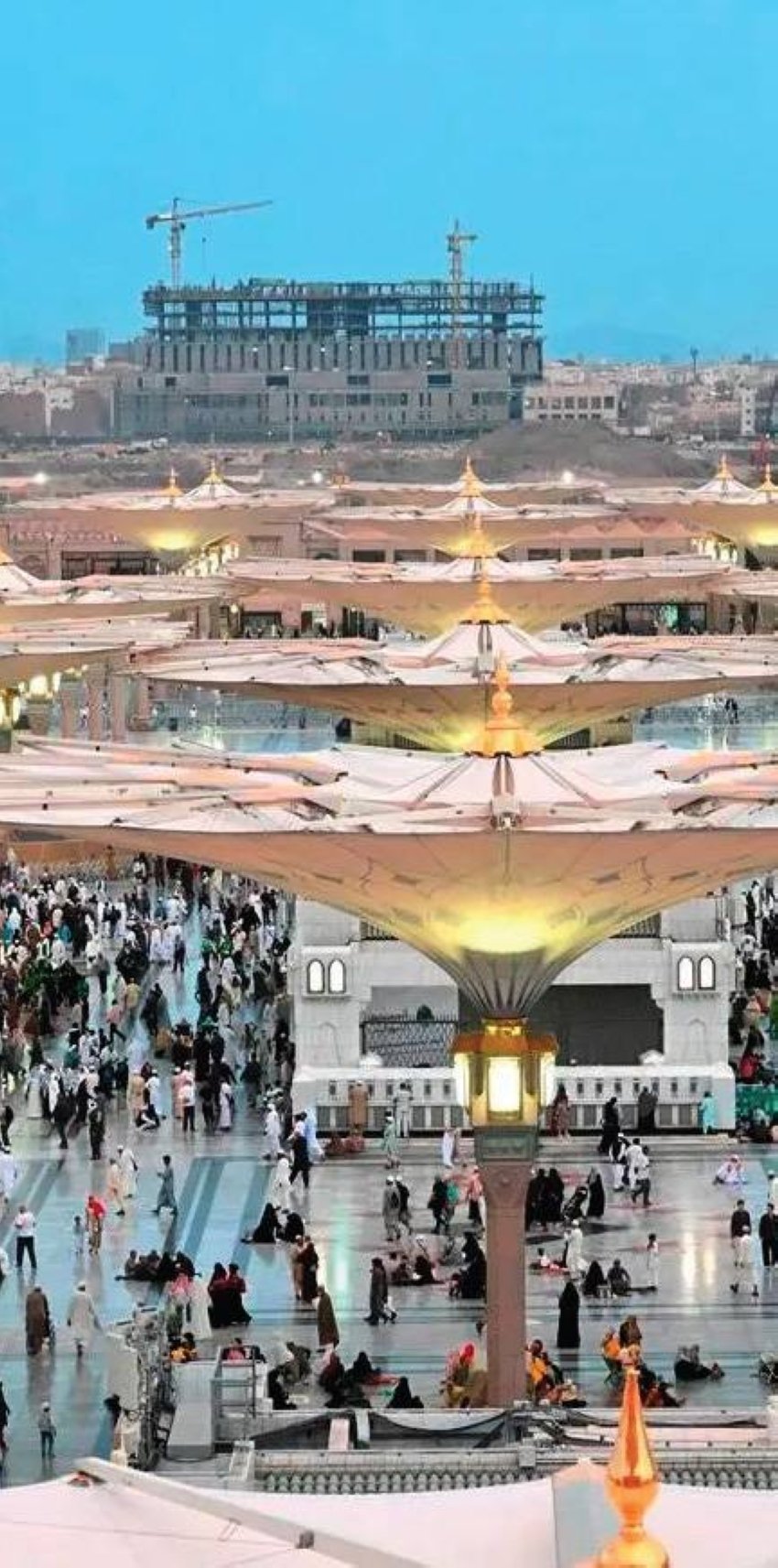 #شتاء_المدينة #روح_المدينة #أﻫﻼً_ﺑﺄﻫﻞ_اﻟﺪار #المدينة_المنورة 